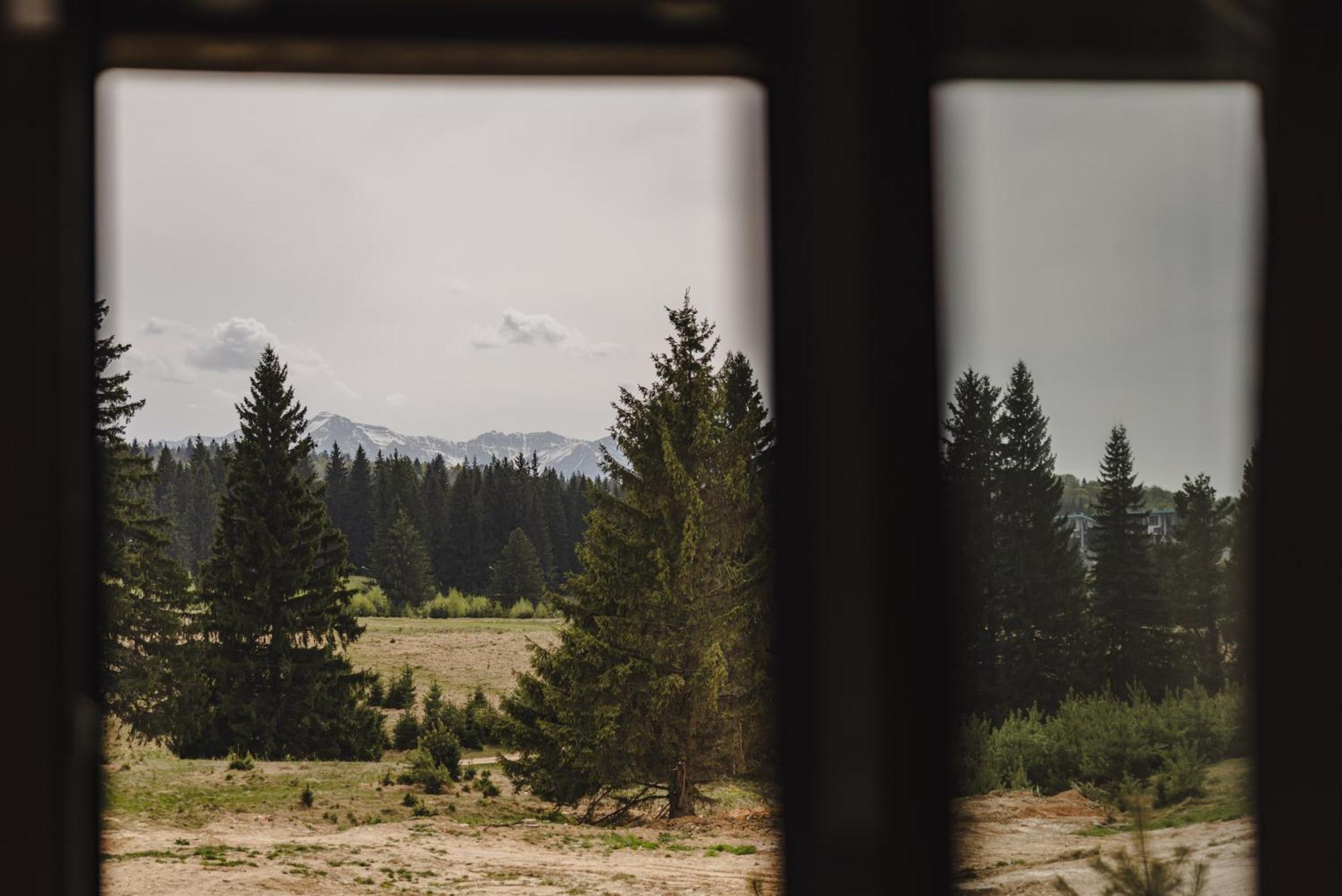 Albert Residence Aparthotel Grand Chalet With Free Spa Access To Alpin Resort Poiana Brasov Exterior photo